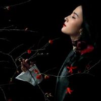 杨庆华12黄道带一周财富（1.24-1.30）