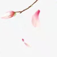 2022年正月十二出生的女宝宝命好吗 性格温和财运通畅