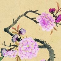 生肖对冲表:2022年5月3日属什么生肖冲什么属相