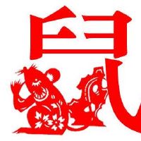 像鼠标女孩这样的男人的特征是什么?