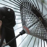 心中的三大星座，不害怕风雨，生活不愿意妥协，自然领导