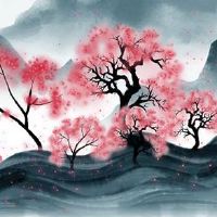 女装店怎么起名字 最新版大气店铺取名推荐