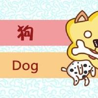 今日生肖相冲查询 2022年2月2日农历正月初二