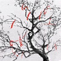 梦想你的鞋子是腐烂的，发生了什么？