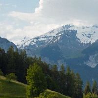 2022年婚姻有一个第三个生肖人