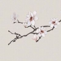 大气商贸公司名字大全 好听独特的企业取名