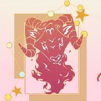 2月2022年2月的纤维素财富的感受是什么?