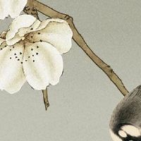 新能源车自主选号 大吉的节节高升车牌号