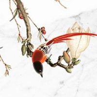 独特商标名字店铺起名大全 新店起名独具创意