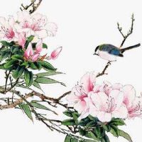 小拇指短的人命不好吗 财运一般子女运差