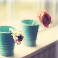 据说它会是丑陋的,12个星座将是什么?