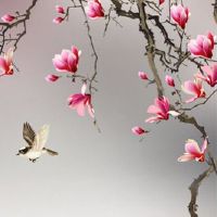 2022年4月26日搬家吉利吗 是不是搬新房日子