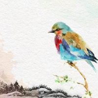 男属猴女属猴婚配好吗 同为肖猴婚姻中默契十足