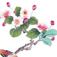 二手车如何申请牌照 盘点顺风顺水的车牌号码