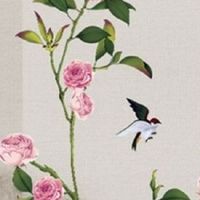 福建人过年吃饺子吗 必须吃的菜有哪些