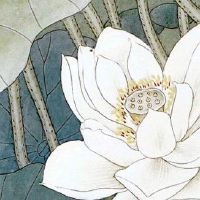 服装店铺名字大全 新店起有创意的名称