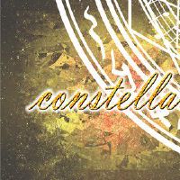 春节开始装饰头部收获的星座。