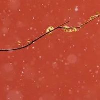 住宅风水之大门三不对 大门不对邻家屋脊