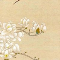 洗车店名字高端大气 店铺起幽默风趣的名称