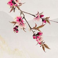 有创意的洗车店名字 洋气时尚的店铺起名