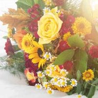 农村订婚十样东西有啥 订婚礼品烟酒糖茶样样全