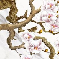 属马什么时候交运 交运注意什么