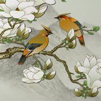 买二手车能否用旧车牌 车牌号码大吉旺运