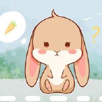 是否可以来兔子？ 9月2022日？