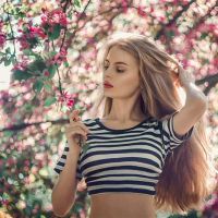 双百硅12个星座指南