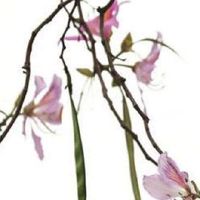 好听顺口的超市名字 吉祥简约的店铺起名