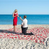 三个观点,这些星座也可以是一对夫妇