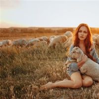 三个大型成套者非常喜欢生活