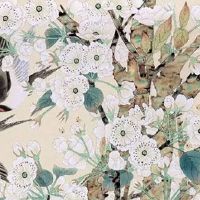 2022年立春有什么禁忌忌讳 立春有什么说法