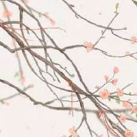 1981年属鸡的男人婚姻怎么样 生肖鸡最佳配对属相