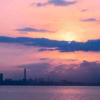 2020春风,商务爱双收获星座