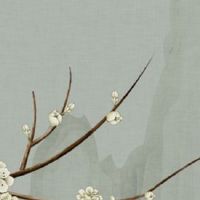 财生官格一般人吃不消 财生官杀容易获得财富