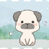 狗人2022年12月财富分析刘黑花