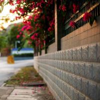 4月份库存迎来了星座时期，羡慕