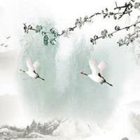 过年什么时候不能扔垃圾 正月初五俗称'送穷'