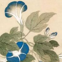 小百货店取名 店铺起名好听悦耳