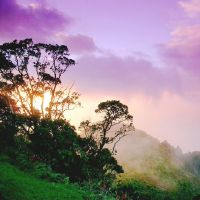 2019年4月14日出生的男孩的名字是什么？