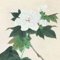 南方人春节的美食有哪些 春节禁忌大盘点