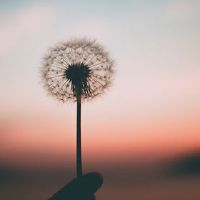 哪个金句是沮丧的12个星座呢？