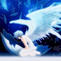 十二个星座代表翅膀