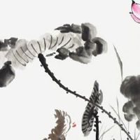 1968年属猴命里缺什么 "天德"吉星贵人相助