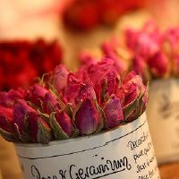 面包和爱情，你会选择爱的星座