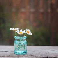 艰难但善良的星座