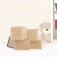 2022年，一只狗的个性正在迁至吉吉的最佳人物，这是最好的。