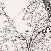 寓意好的营业执照名字 洋气有格调的店铺取名