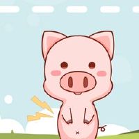 在老虎年度猪的人